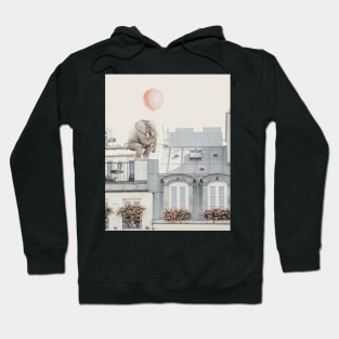 Elephant on the roof in Paris Hoodie